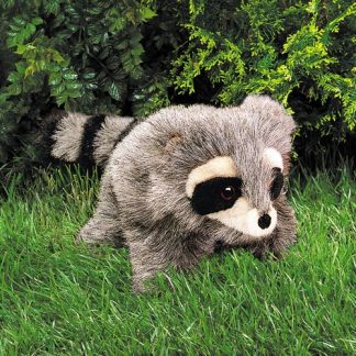 folkmanis Raccoon Baby puppet