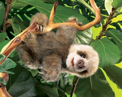 folkmanis Sloth Baby puppet