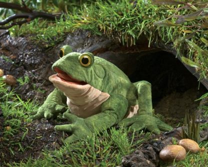folkmanis Toad puppet