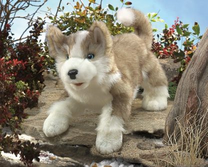 folkmanis Wolf Pup puppet